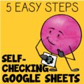 Self-Checking Google Sheets Activity