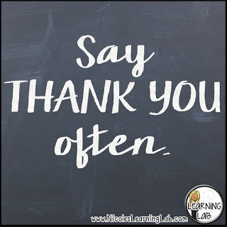 working with a paraprofessional aide